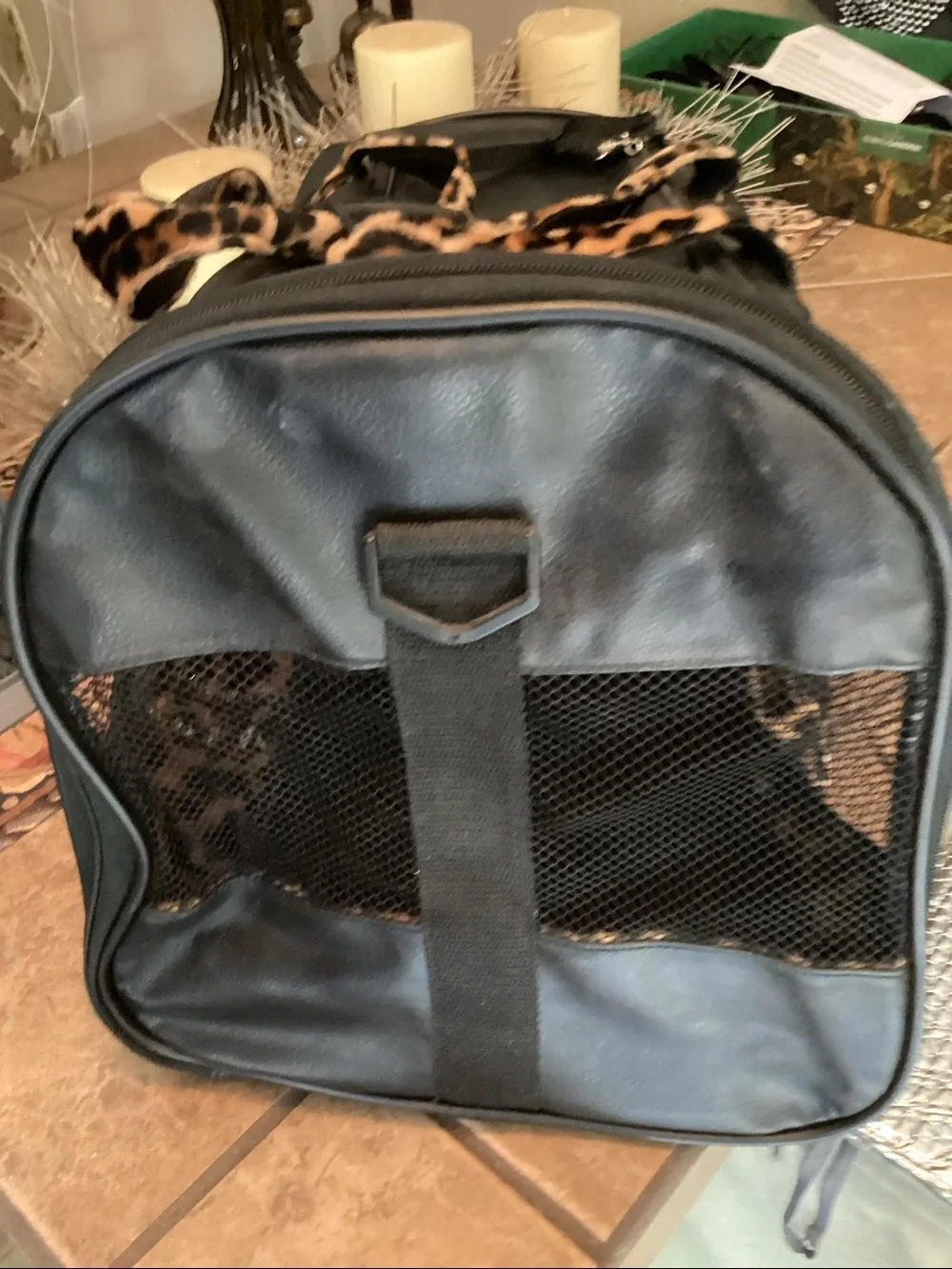 Black Cat Print Soft-Sided Pet Carrier with Leopard Handles